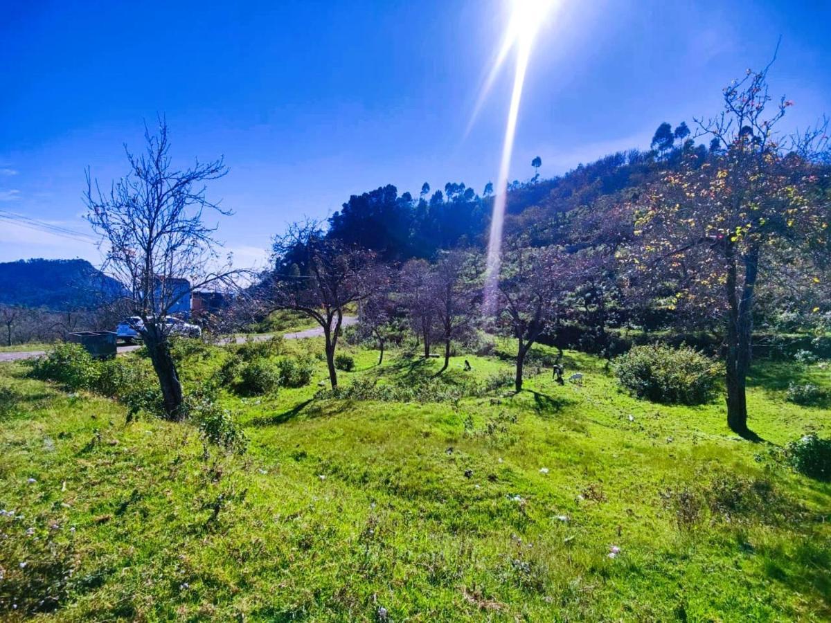 Salora Kodai Tamilnadu - Tamilnadu - Kodaikanal Exterior foto