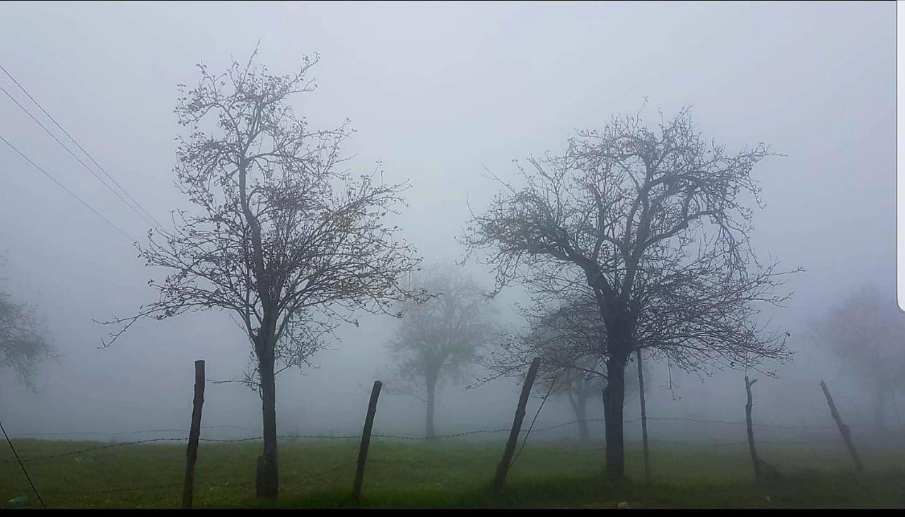Salora Kodai Tamilnadu - Tamilnadu - Kodaikanal Exterior foto